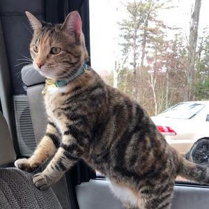 Meet your Posher, Lolo